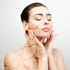 Collection image for: Rostro & Cuidado del Cuerpo